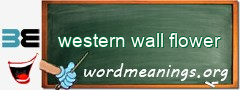 WordMeaning blackboard for western wall flower